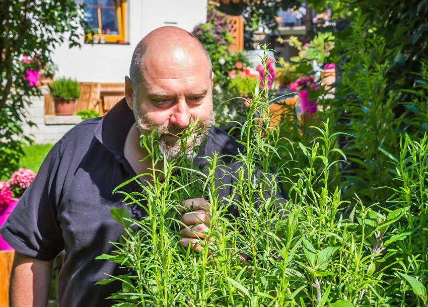 Mario riecht an den Kräutern im Garten