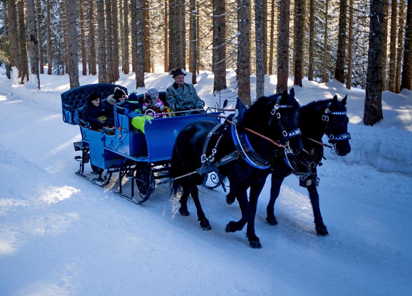 Pferdeschlittenfahrt im Winter (c) TVB Filzmoos